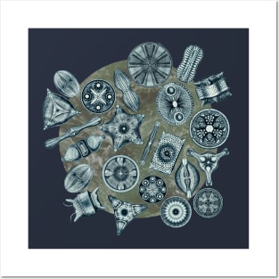 Ernst Haeckel Cerulean Diatoms on Mossy  Water Posters and Art